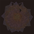 the album cover for Coil Sea - Coil Sea