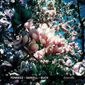 the album cover for Fennesz/Deniell/Buck - Knoxville [MP3]