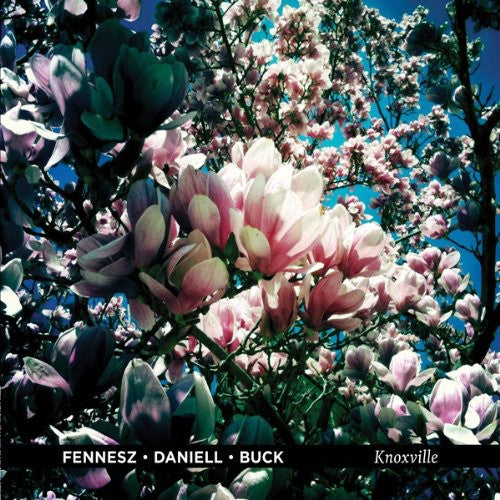 the album cover for Fennesz/Deniell/Buck - Knoxville [MP3]