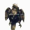 the album cover for Hundred In The Hands - Pigeons