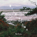 the album cover for WILD PALMS - Love Me For Who I Am
