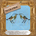 the album cover for David Rotheray - The Life Of Birds