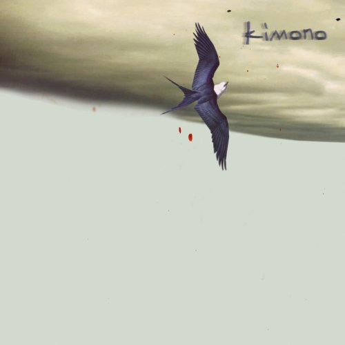 the album cover for Kimono - Easy Music for Difficult People