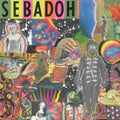 the album cover for Sebadoh - Smash Your Head on the Punk Rock