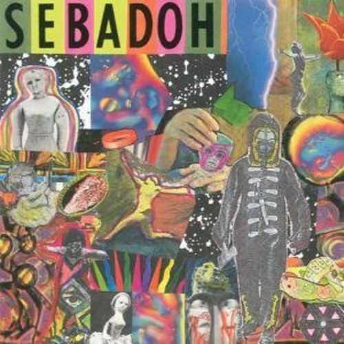the album cover for Sebadoh - Smash Your Head on the Punk Rock