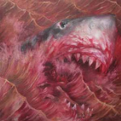 the album cover for Akimbo - Jersey Shores