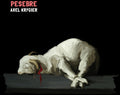 the album cover for Axel Krygier - Pesebre