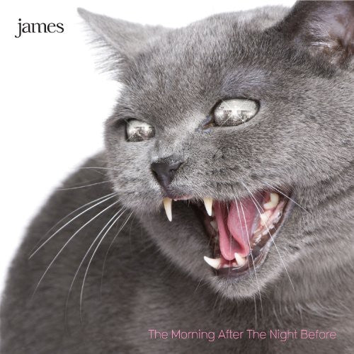 the album cover for James - The Morning After The Night Before