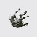 the album cover for Anberlin - Dark Is The Way. Light Is A Place