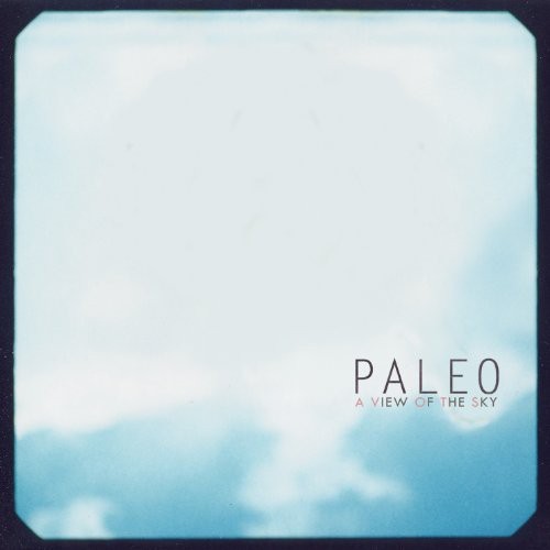 the album cover for Paleo - A View Of The Sky
