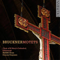 the album cover for Duncan Ferguson - Motets