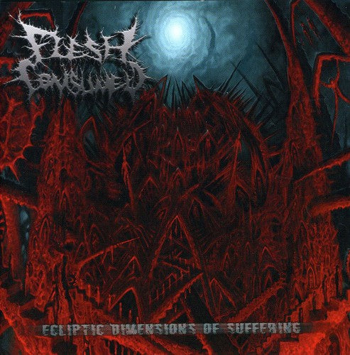 the album cover for Flesh Consumed - Ecliptic Dimensions of Suffering