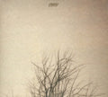 the album cover for BenoÃ®t Pioulard - Lasted