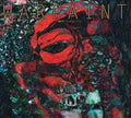the album cover for Warpaint - The Fool