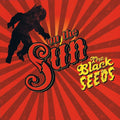 the album cover for Black Seeds - On the Sun