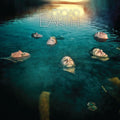 the album cover for Railroad Earth - Railroad Earth [Download Included]