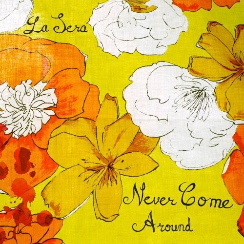 the album cover for Unknown Artist - Never Come Around