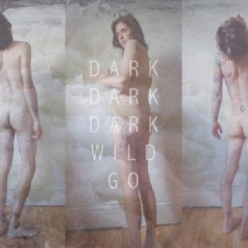 the album cover for Dark Dark Dark - Wild Go