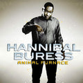 the album cover for Hannibal Buress - Animal Furnace