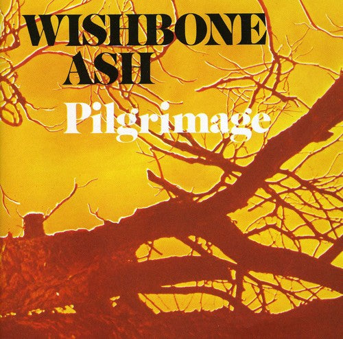 the album cover for Wishbone Ash - Pilgrimage [Import]