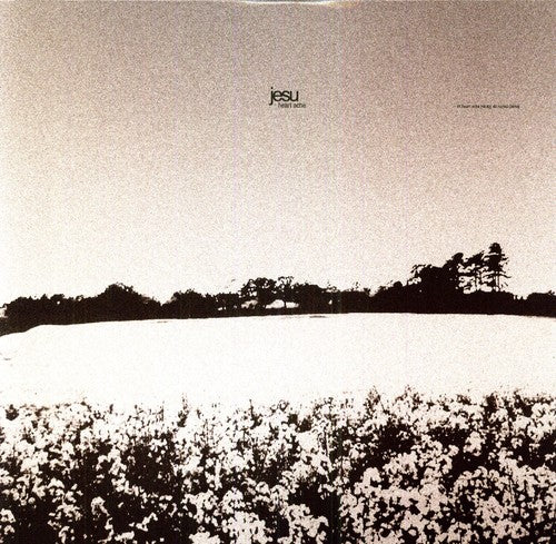 the album cover for Jesu - Heartache and Dethroned