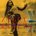 the album cover for Ziggy Marley - Dragonfly