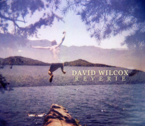 the album cover for David Wilcox - Reverie