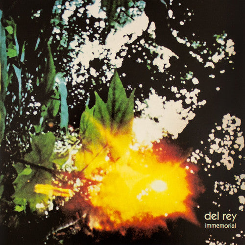 the album cover for Del Rey - Immemorial