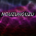 the album cover for Nguzunguzu - Nguzunguzu