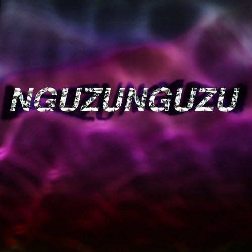 the album cover for Nguzunguzu - Nguzunguzu