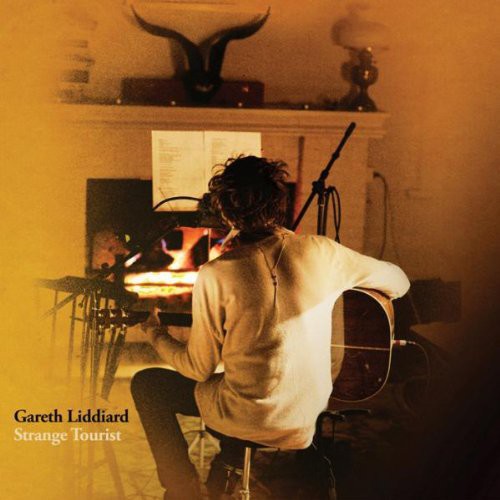 the album cover for Gareth Liddiard - Strange Tourist