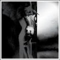 the album cover for U.N.K.L.E. - Answer [Import]