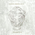 the album cover for Marco Benevento - Tigerface