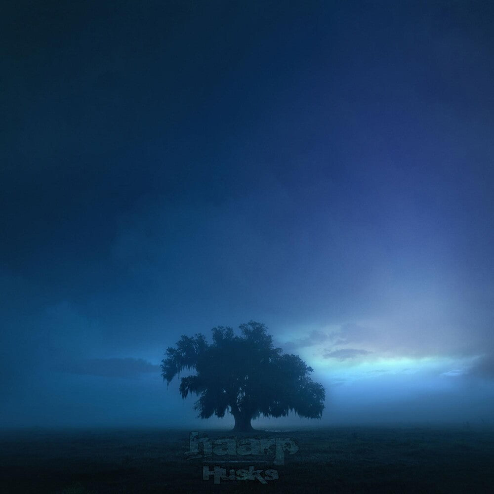 the album cover for Haarp - Husks