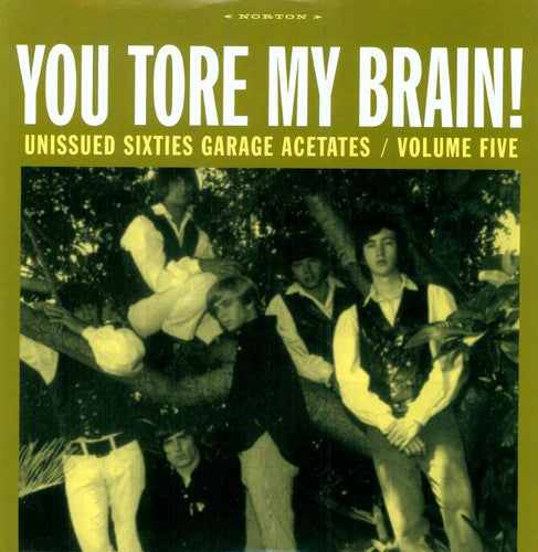 the album cover for Unknown Artist - Vol. 5-You Tore My Brain! Sixties Garage Acetates [Import]