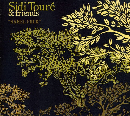 the album cover for Sidi TourÃ© - Sahel Folk