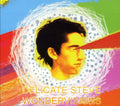 the album cover for Delicate Steve - Wondervisions