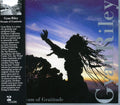 the album cover for Gyan Riley - Stream of Gratitude