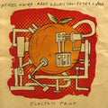 the album cover for Mary Halvorson Quintet - Electric Fruit