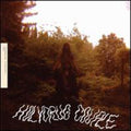 the album cover for The Holydrug Couple - Ancient Land