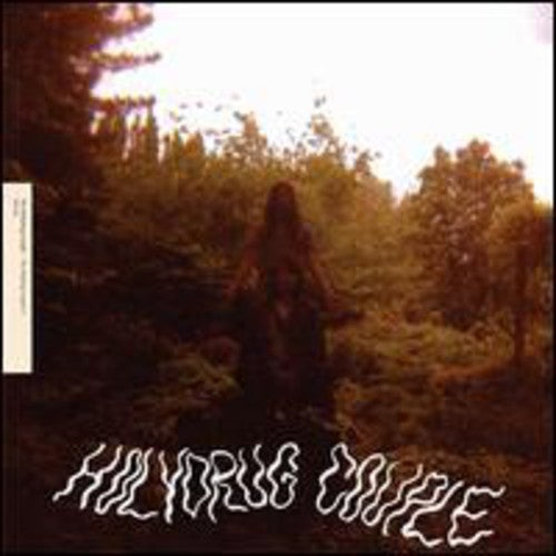 the album cover for The Holydrug Couple - Ancient Land