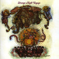 the album cover for Merchants Of Dream - Strange Night Voyage [Import]