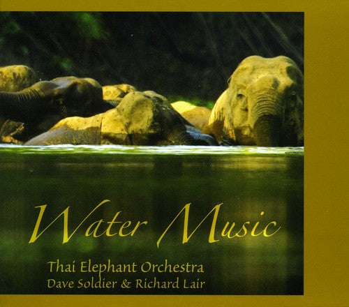 the album cover for Thai Elephant Orchestra - Water Music