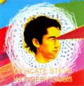 the album cover for Delicate Steve - Wondervisions