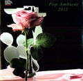 the album cover for Pop Ambient 2011 - Pop Ambient 2011