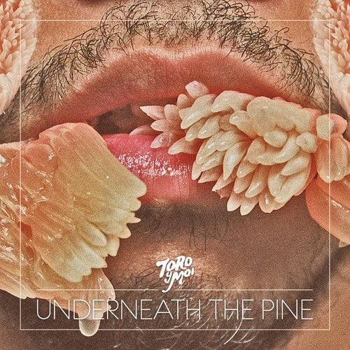 the album cover for Toro Y Moi - Underneath the Pine