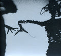 the album cover for Twilight Singers - Dynamite Steps