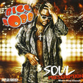 the album cover for Bigg Robb - Soul Prescription