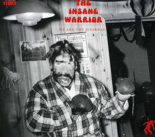 the album cover for Rjd2-The Insane Warrior - We Are the Doorways