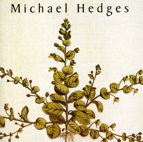 the album cover for Michael Hedges - Taproot